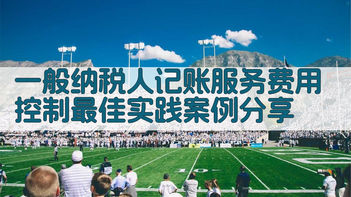 一般纳税人记账服务费用控制最佳实践案例分享 图5