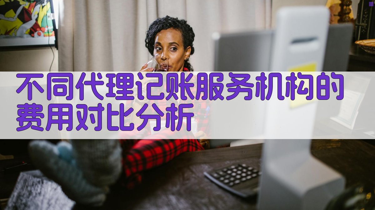 不同代理记账服务机构的费用对比分析 图3