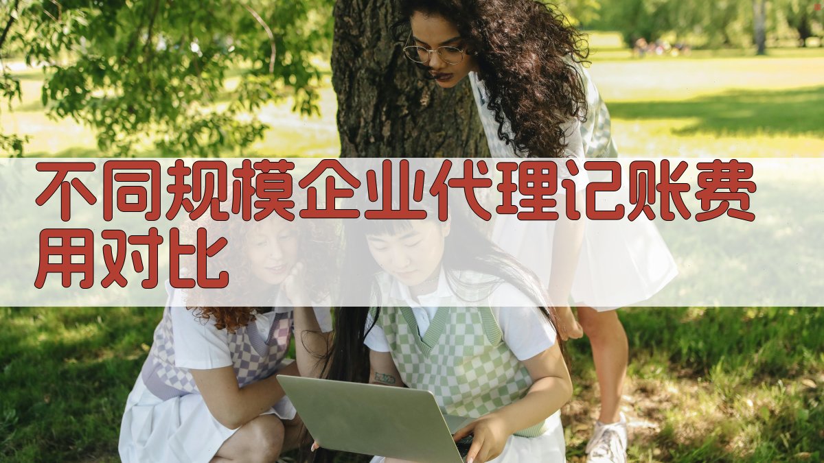 不同规模企业代理记账费用对比 图2