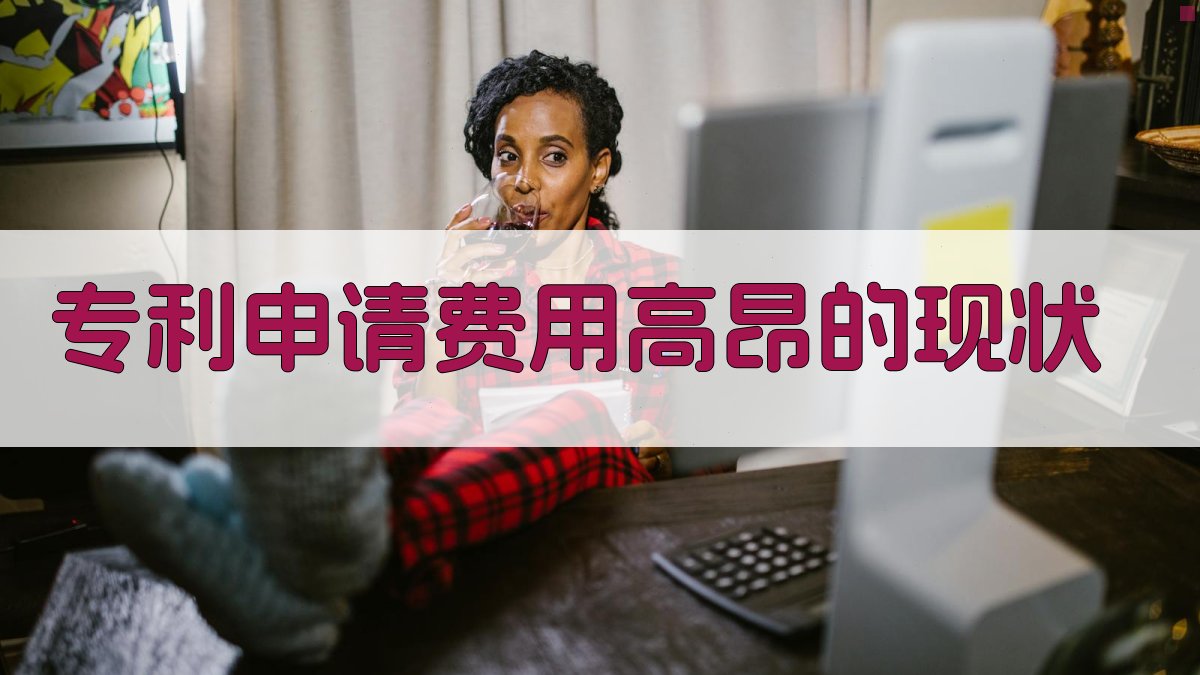 专利申请费用高昂的现状 图1