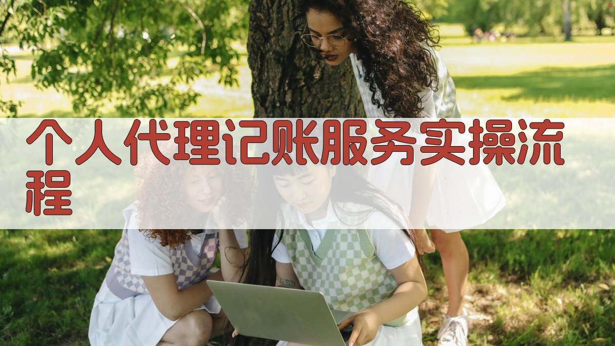 个人代理记账服务实操流程 图3