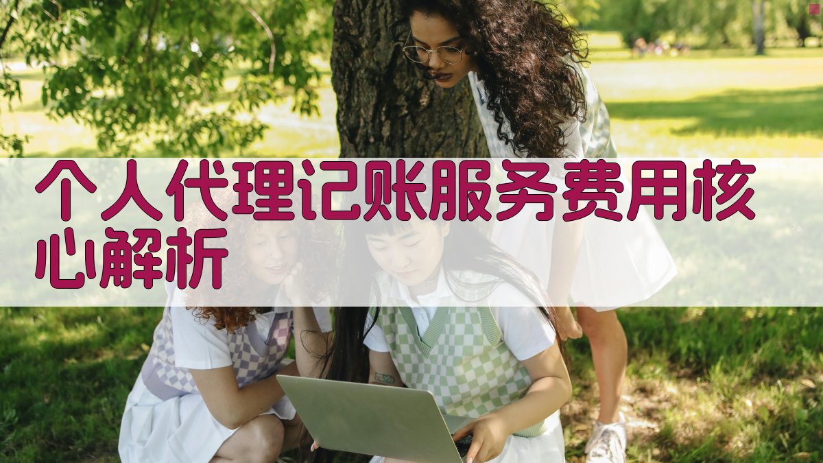 个人代理记账服务费用核心解析 图2