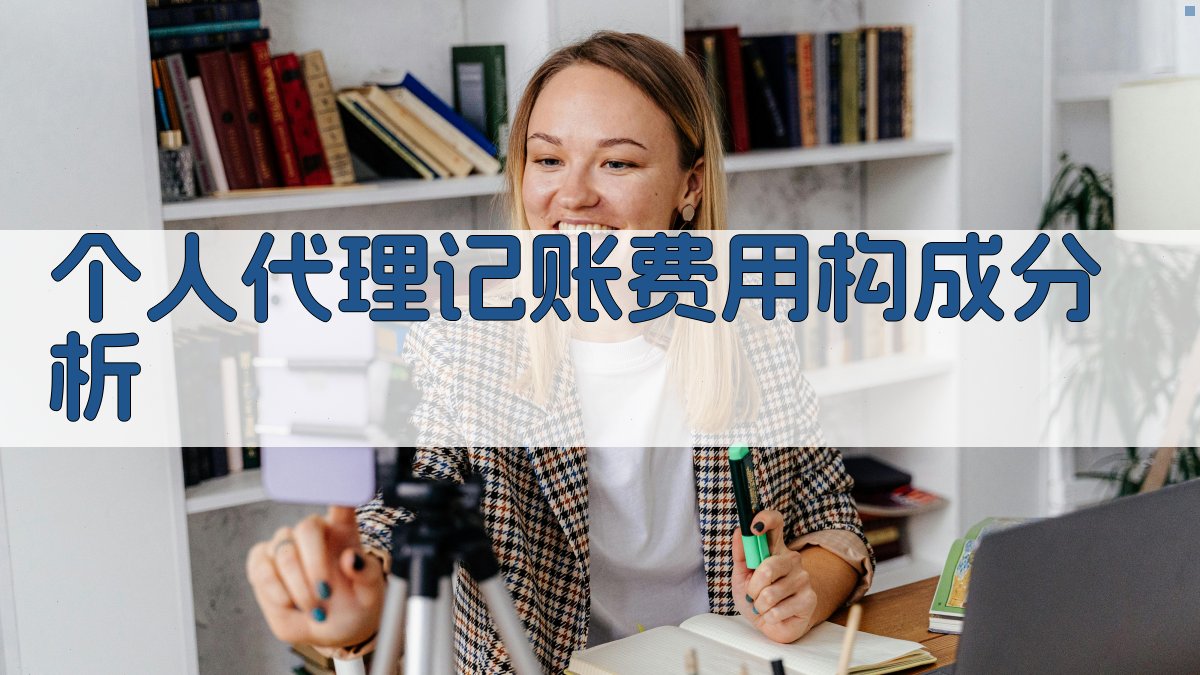 个人代理记账费用构成分析 图1