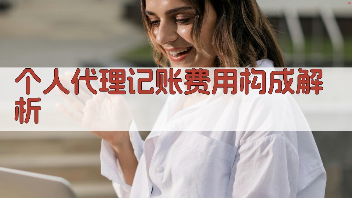 个人代理记账费用构成解析 图2