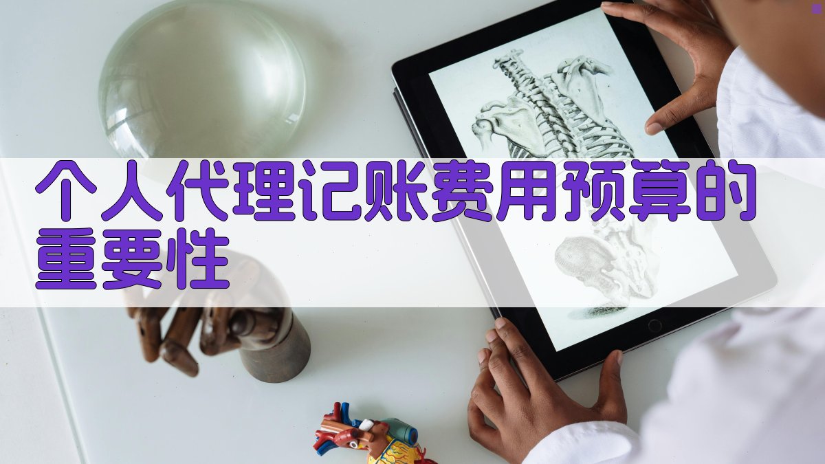 个人代理记账费用预算的重要性 图1