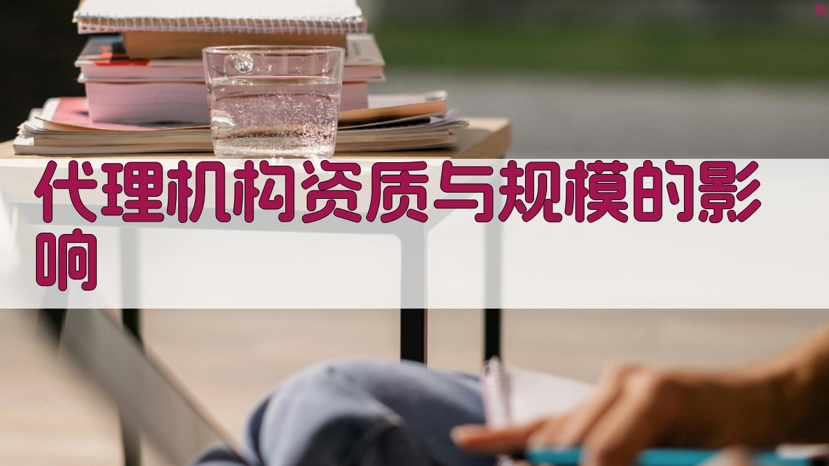 代理机构资质与规模的影响 图1