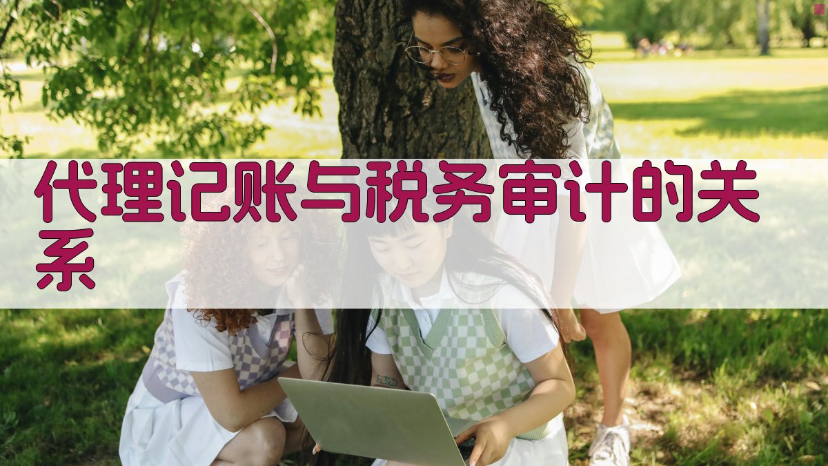 代理记账与税务审计的关系 图2