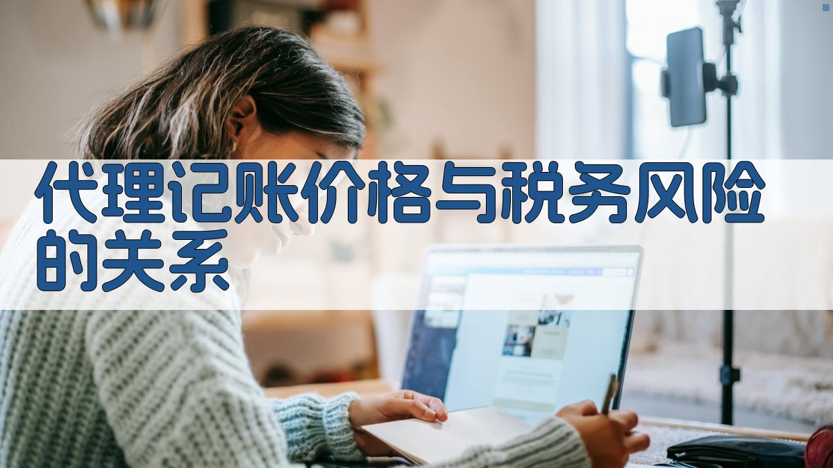 代理记账价格与税务风险的关系 图2