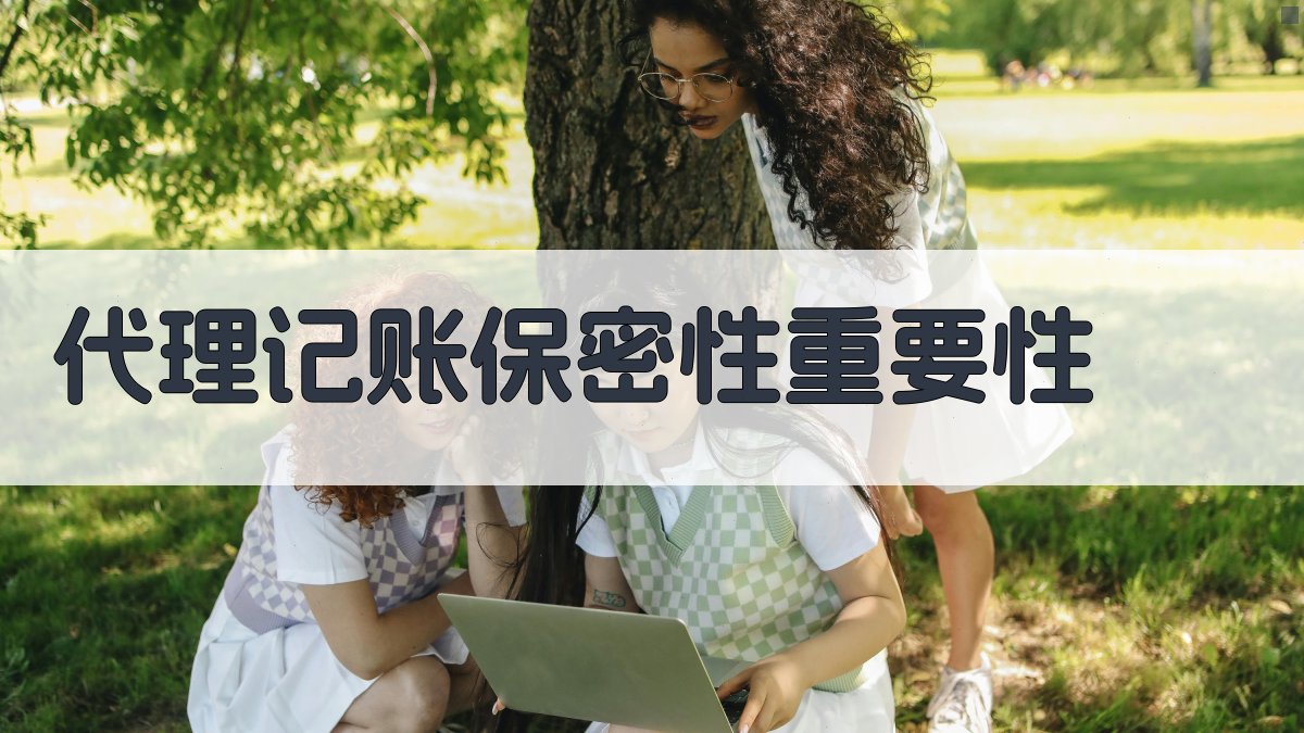 代理记账保密性重要性 图1