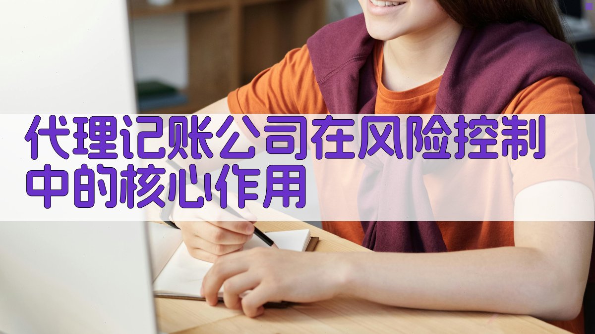 代理记账公司在风险控制中的核心作用 图2