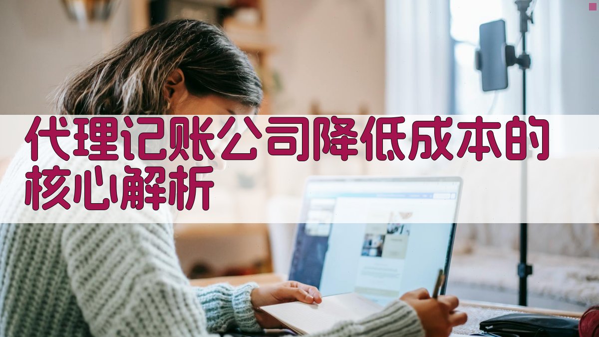 代理记账公司降低成本的核心解析 图2