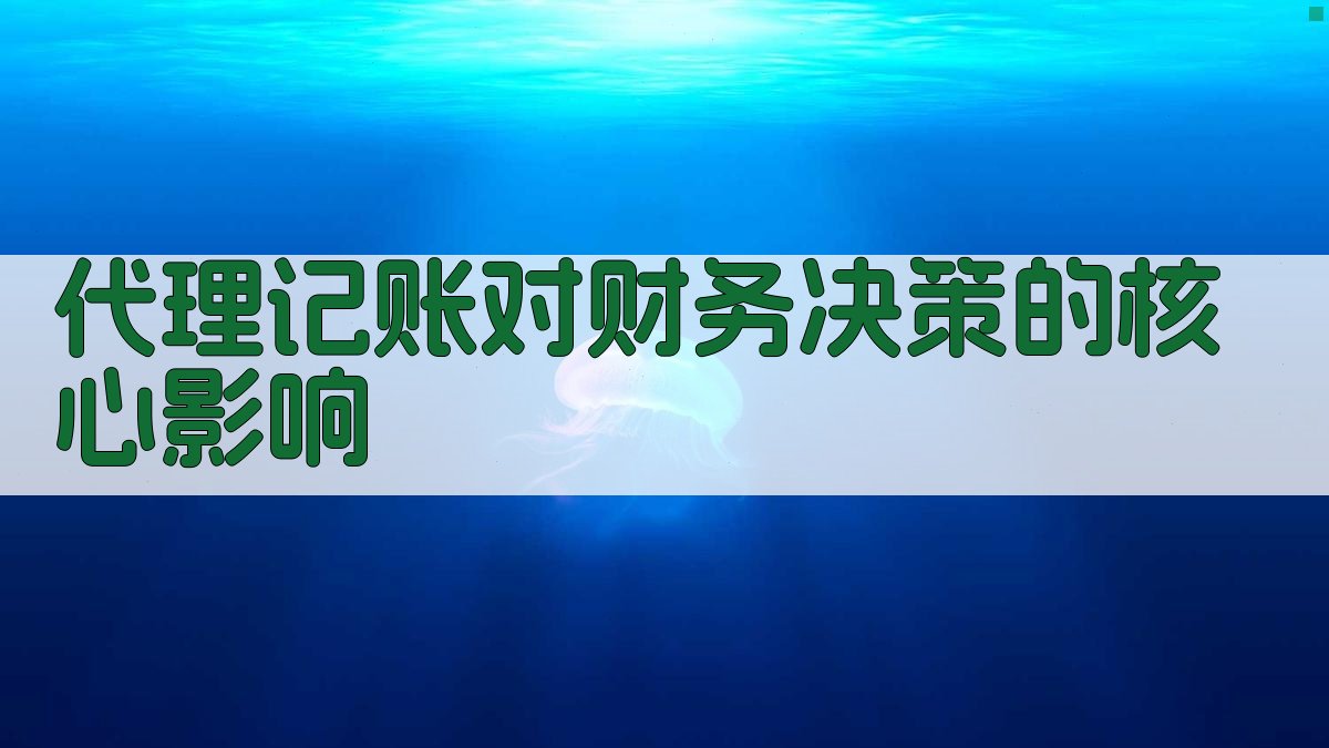 代理记账对财务决策的核心影响 图2