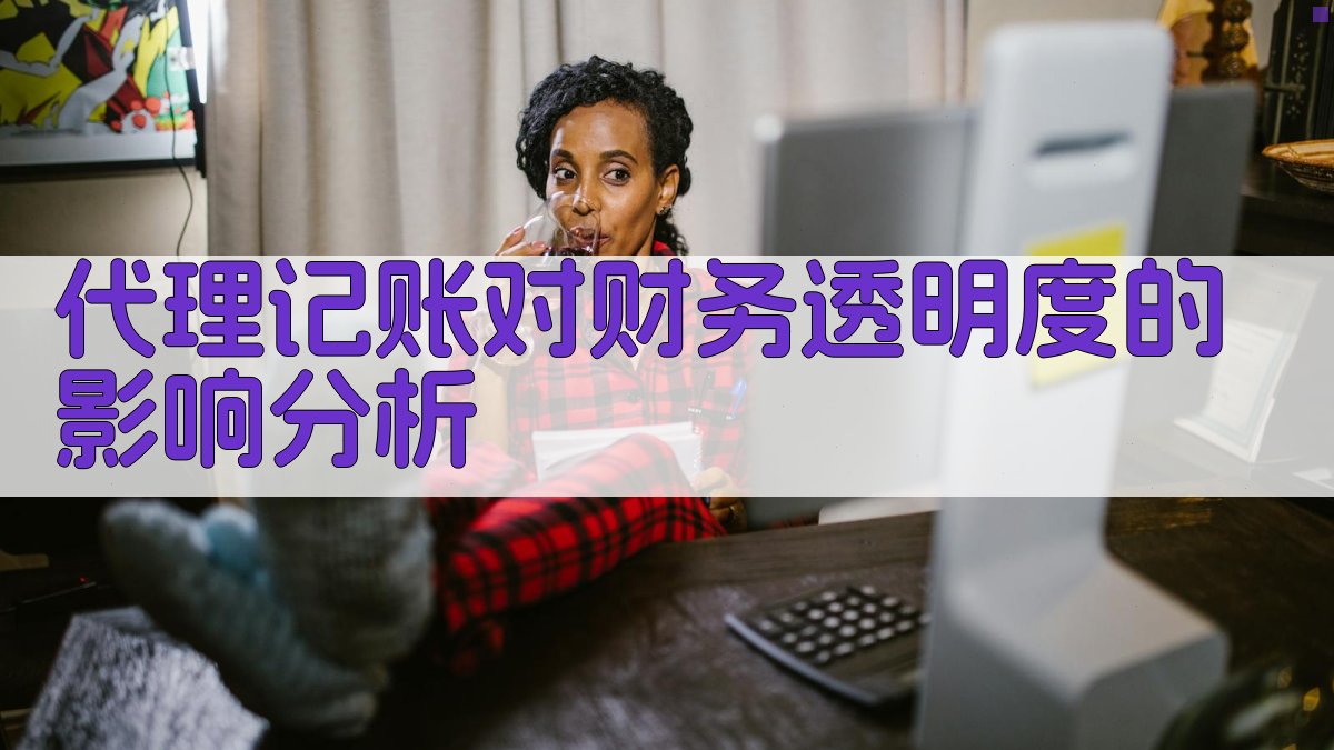 代理记账对财务透明度的影响分析 图2
