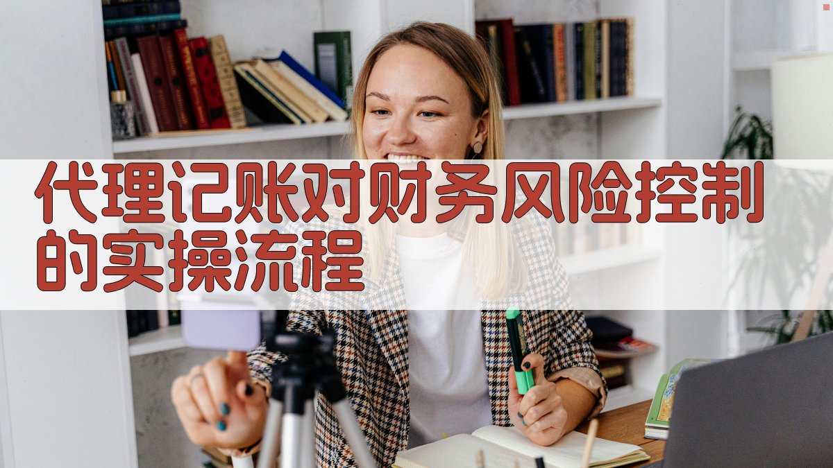 代理记账对财务风险控制的实操流程 图3