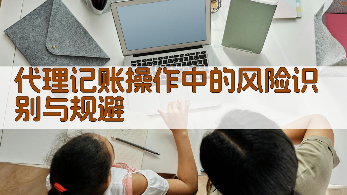 代理记账操作中的风险识别与规避 图3