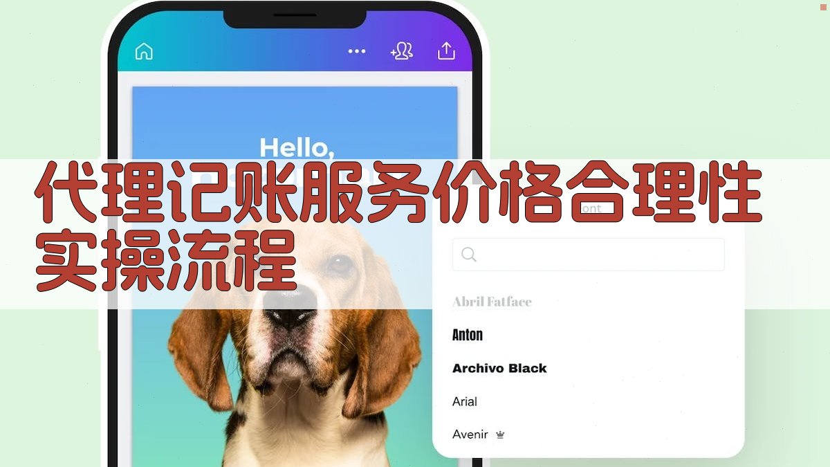 代理记账服务价格合理性实操流程 图3