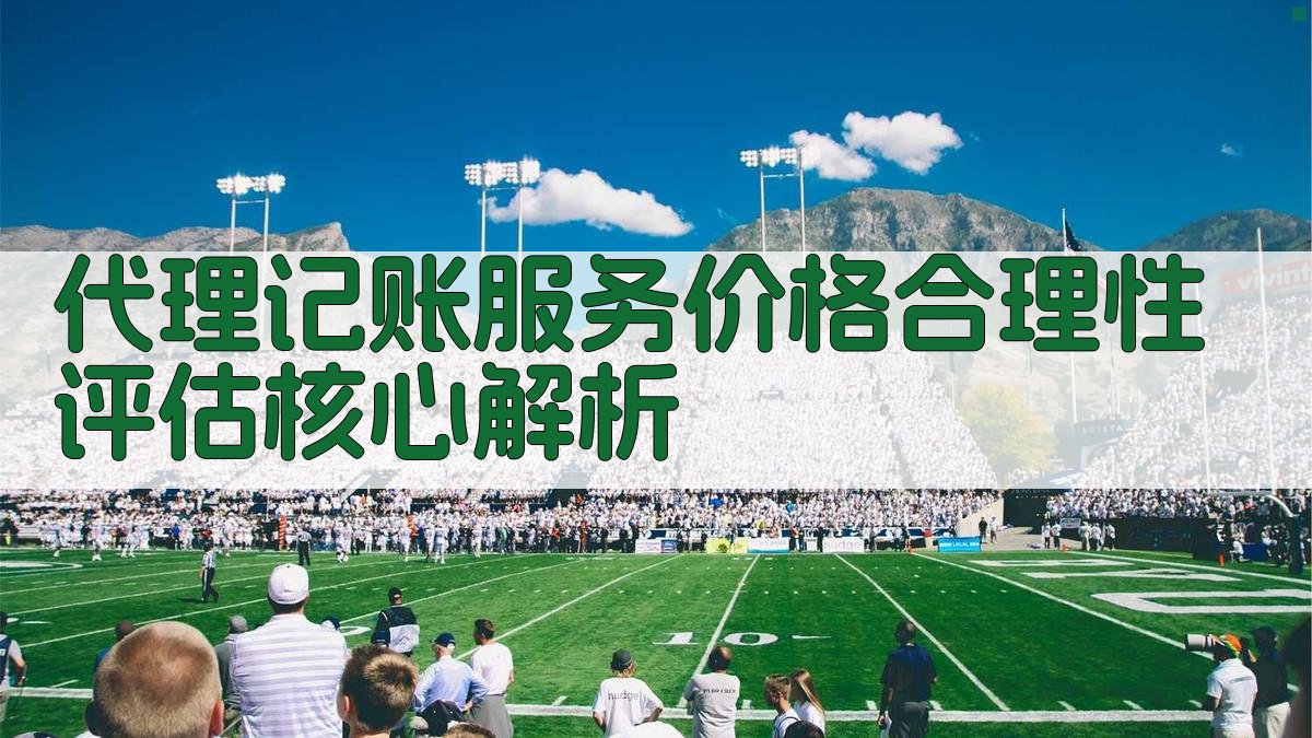 代理记账服务价格合理性评估核心解析 图2