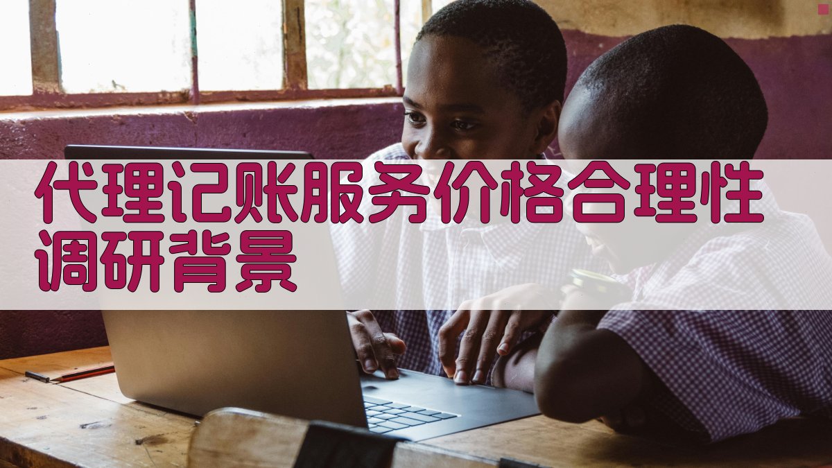代理记账服务价格合理性调研背景 图1