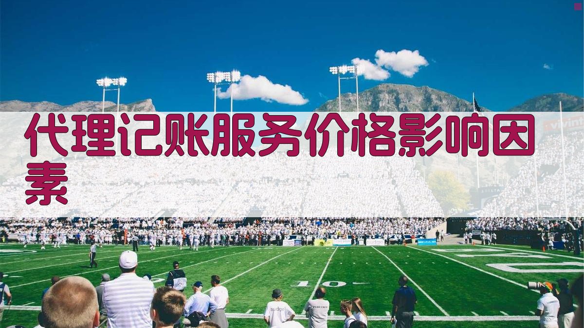 代理记账服务价格影响因素 图2