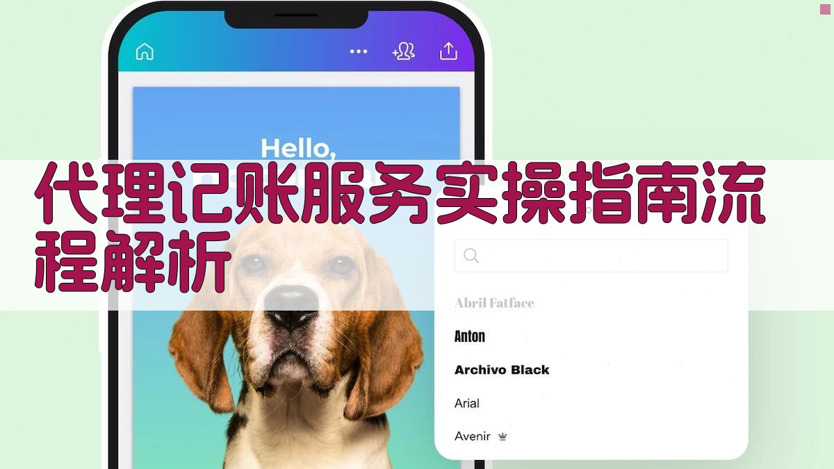 代理记账服务实操指南流程解析 图2