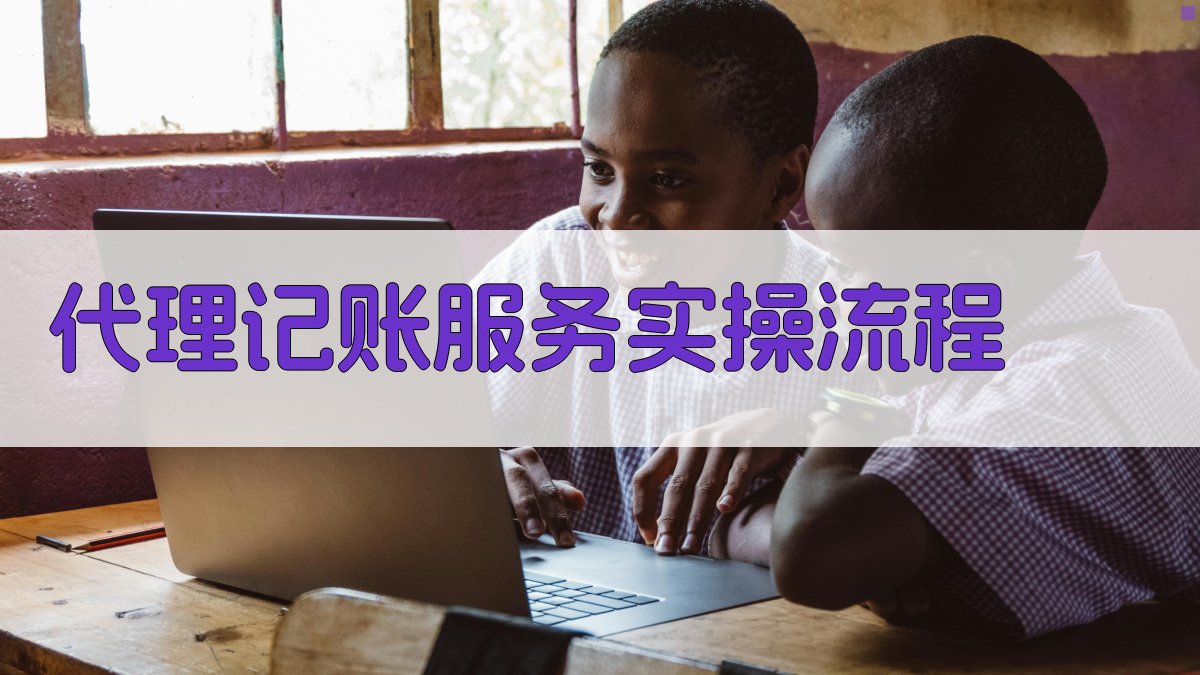 代理记账服务实操流程 图3