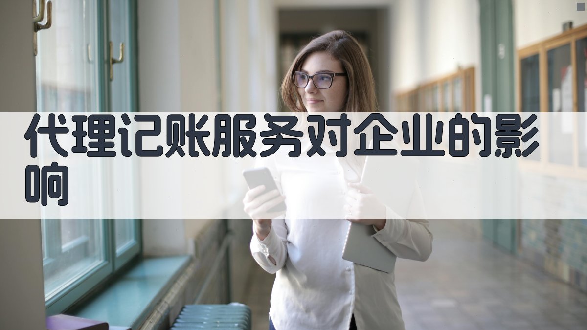 代理记账服务对企业的影响 图2