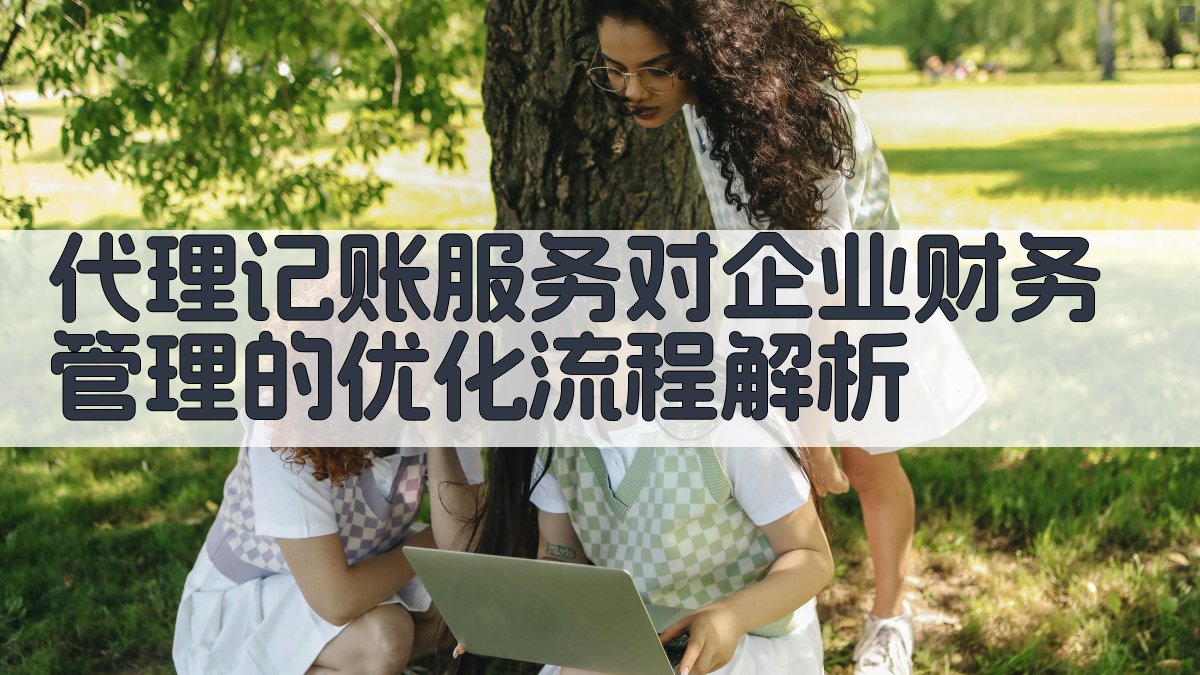 代理记账服务对企业财务管理的优化流程解析 图2