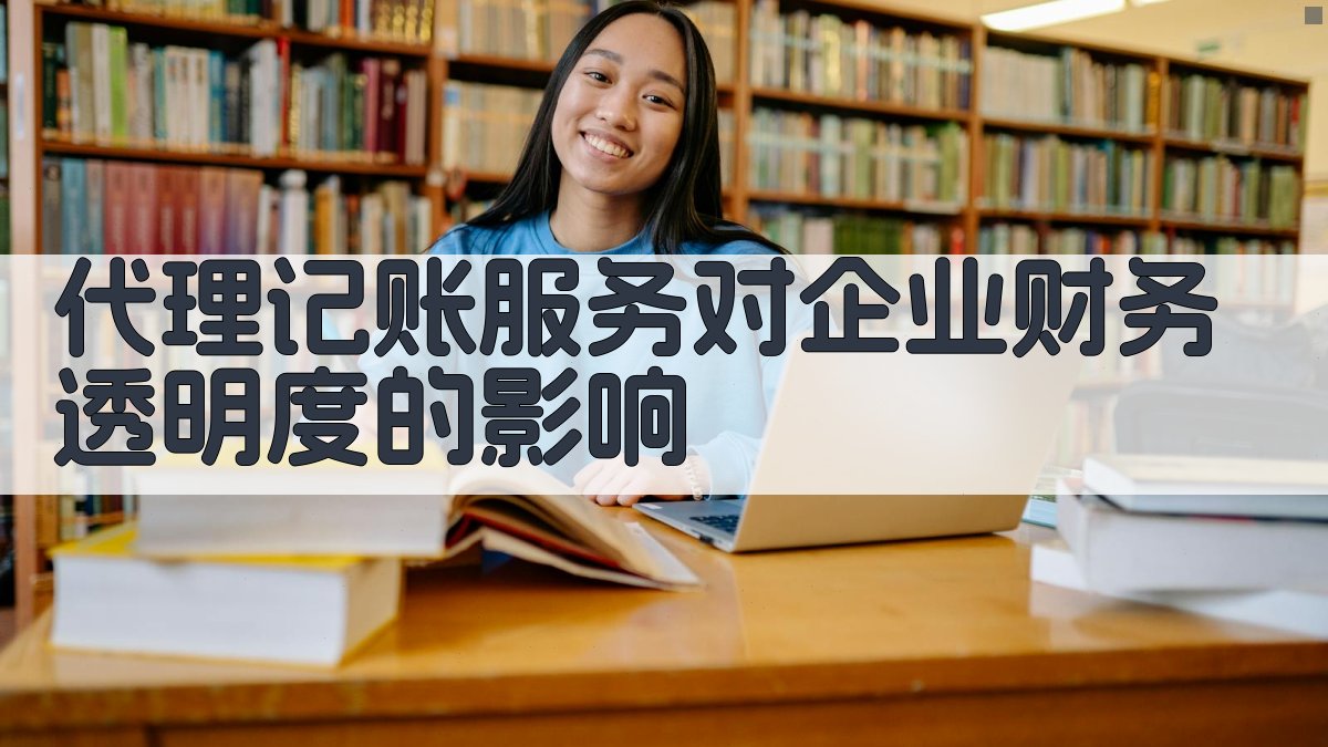 代理记账服务对企业财务透明度的影响 图2