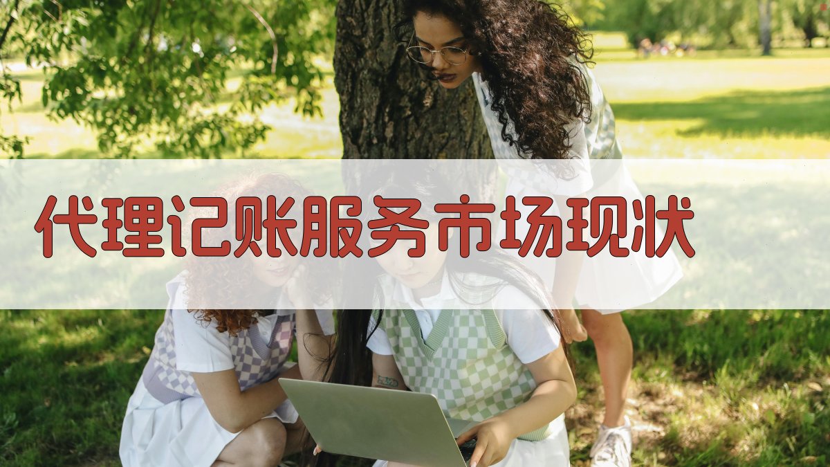 代理记账服务市场现状 图1