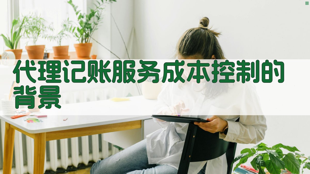 代理记账服务成本控制的背景 图1