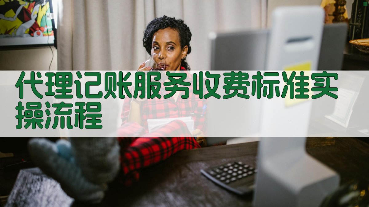 代理记账服务收费标准实操流程 图3