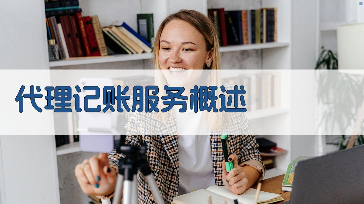 代理记账服务概述 图1