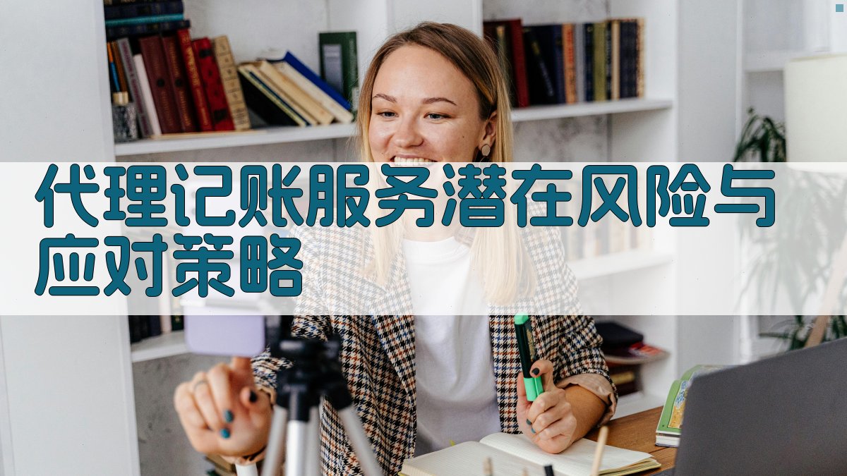 代理记账服务潜在风险与应对策略 图3