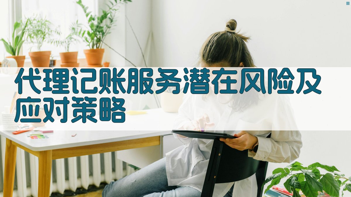 代理记账服务潜在风险及应对策略 图3