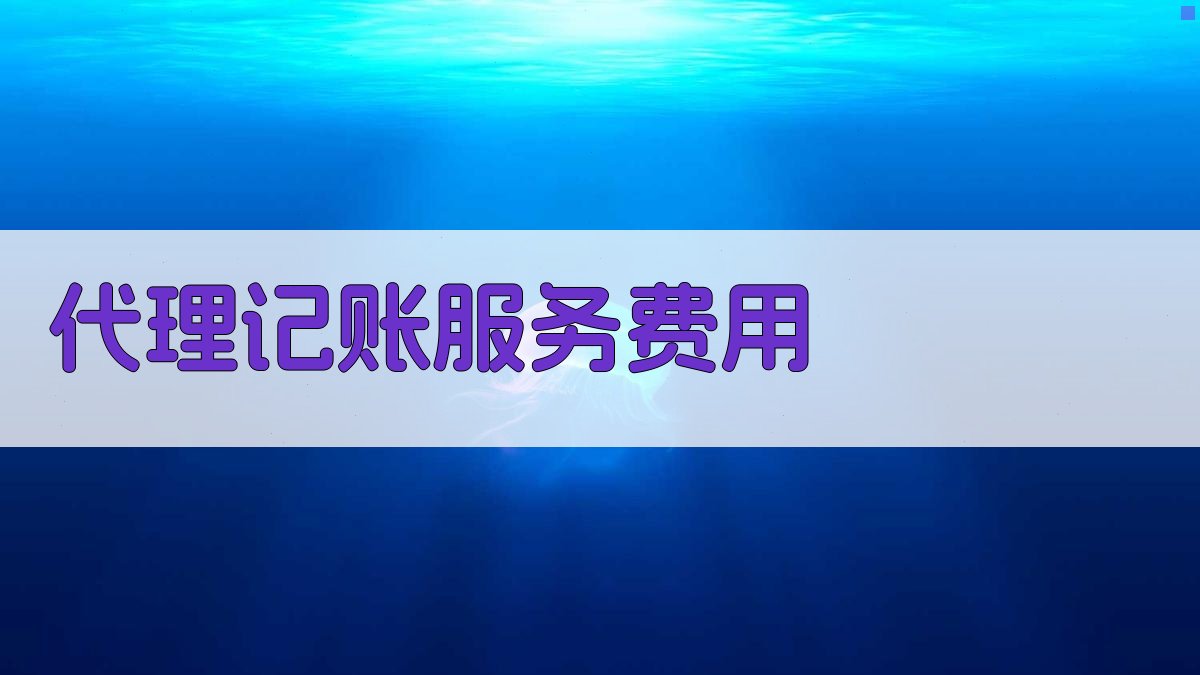 代理记账服务费用 图2