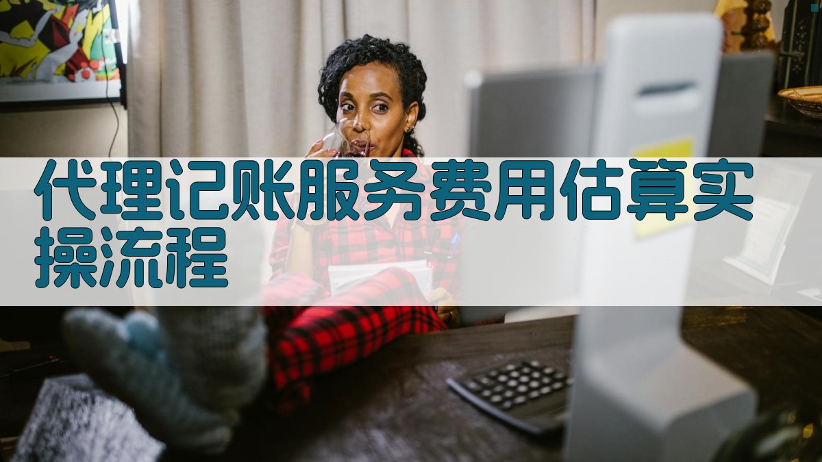 代理记账服务费用估算实操流程 图2