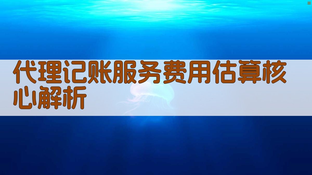 代理记账服务费用估算核心解析 图1