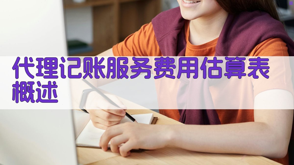 代理记账服务费用估算表概述 图1