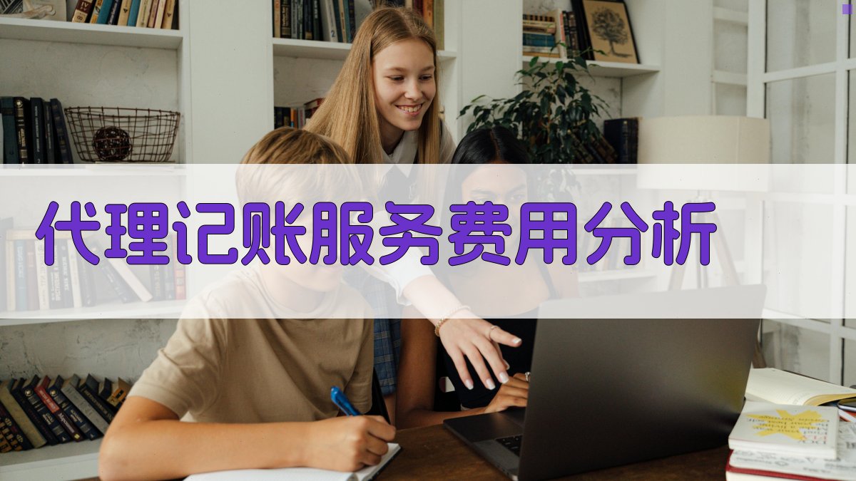 代理记账服务费用分析 图3