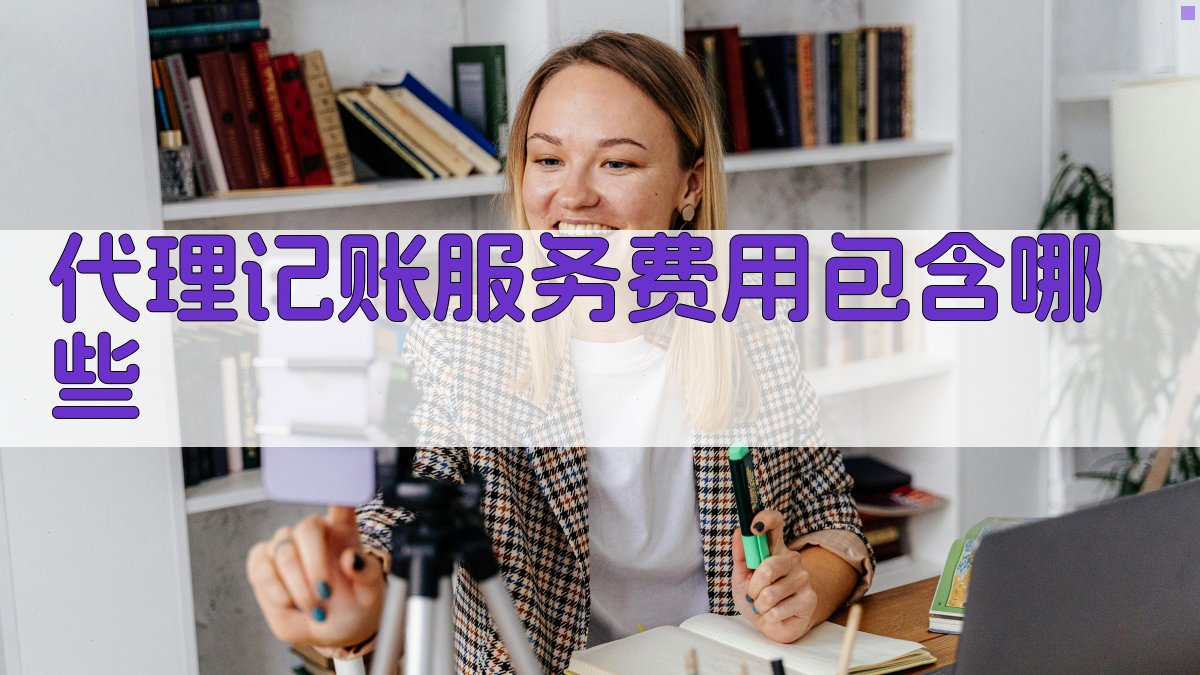 代理记账服务费用包含哪些 图2