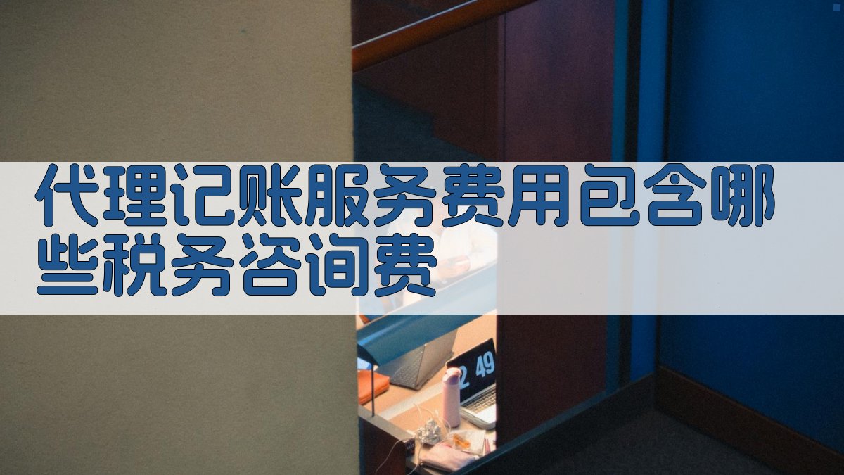 代理记账服务费用包含哪些税务咨询费 图1