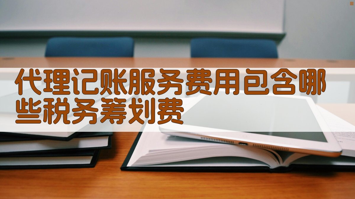 代理记账服务费用包含哪些税务筹划费 图2