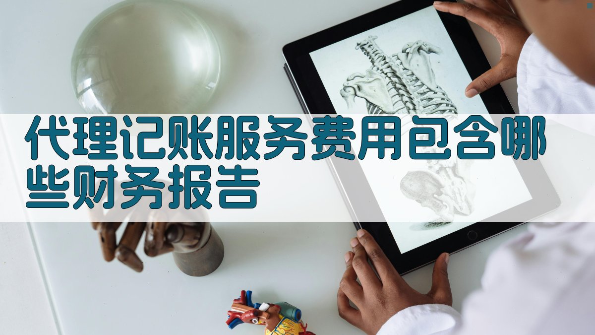 代理记账服务费用包含哪些财务报告 图1