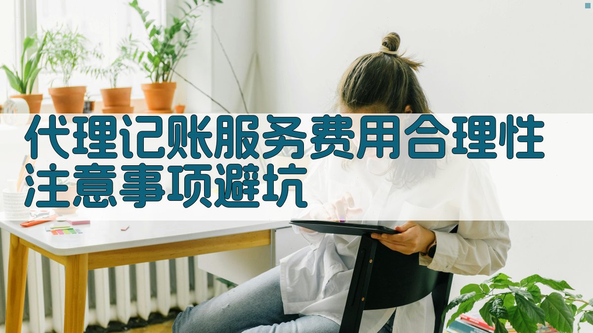 代理记账服务费用合理性注意事项/避坑 图2