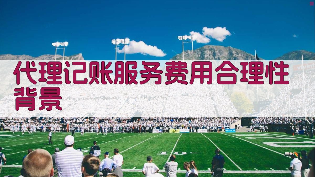 代理记账服务费用合理性背景 图1