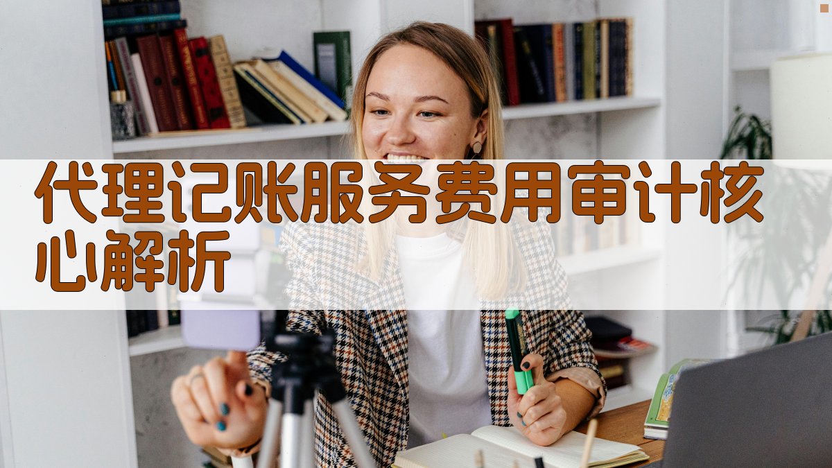 代理记账服务费用审计核心解析 图2