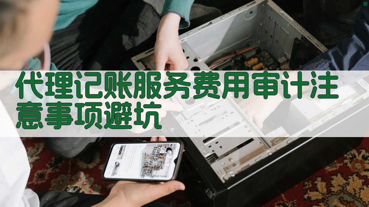 代理记账服务费用审计注意事项/避坑 图4