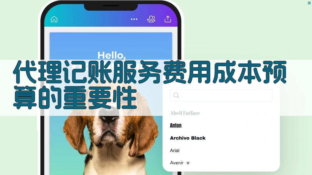 代理记账服务费用成本预算的重要性 图1
