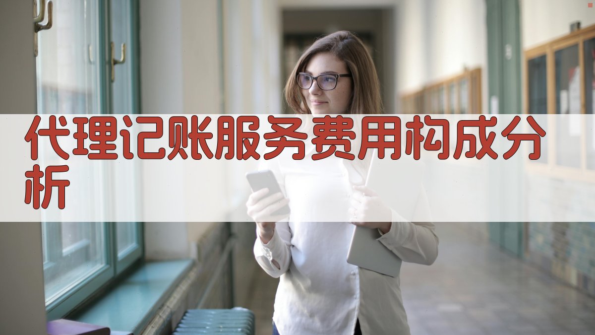 代理记账服务费用构成分析 图1