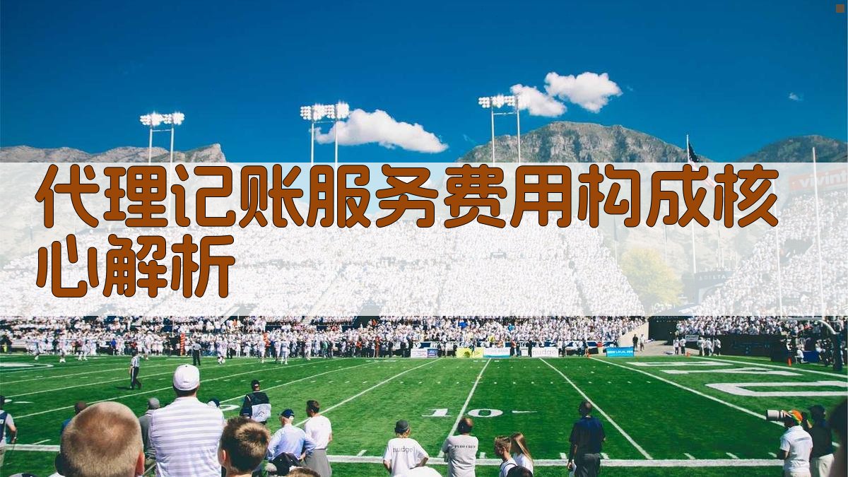 代理记账服务费用构成核心解析 图2